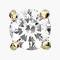 0.1 ct