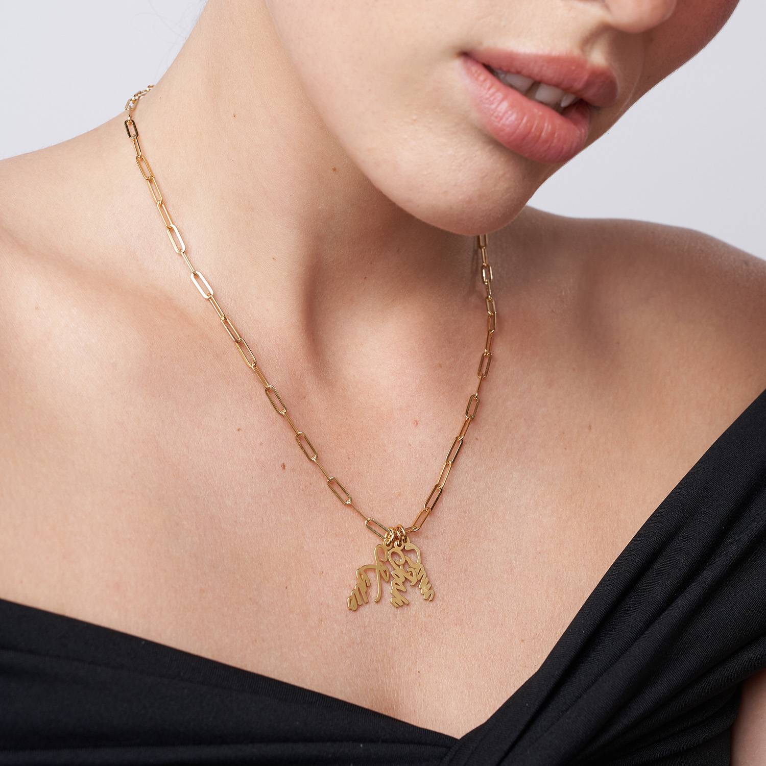 Bailey Link Chain Name Necklace - Gold Vermeil-3 product photo