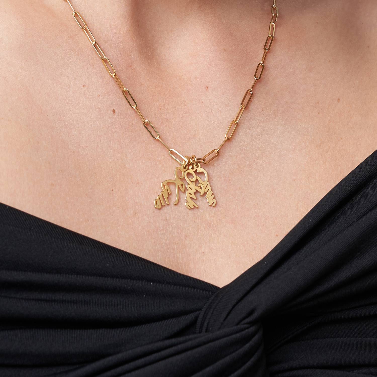 Bailey Link Chain Name Necklace - Gold Vermeil-1 product photo