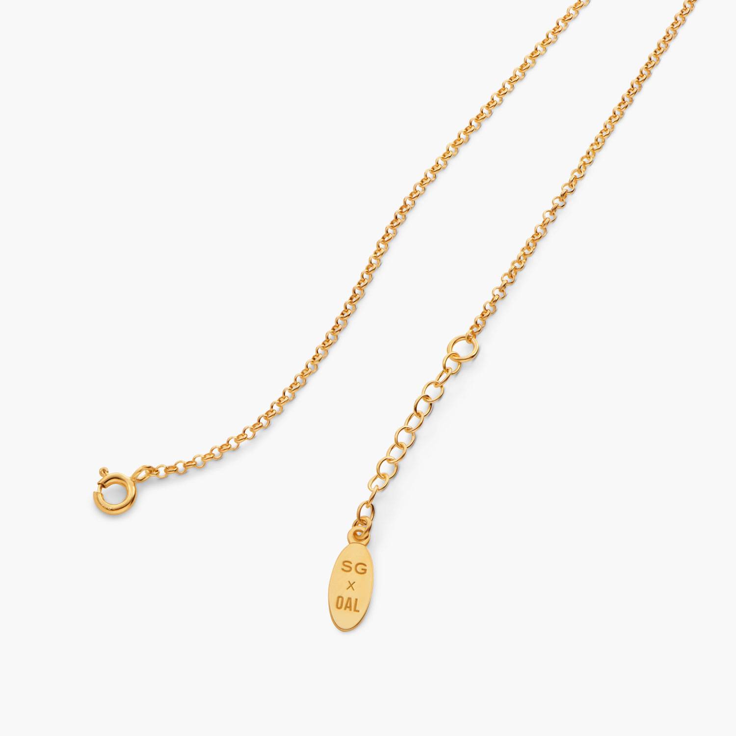Give Me a Sign Zodiac Necklace- Gold Vermeil-7 product photo