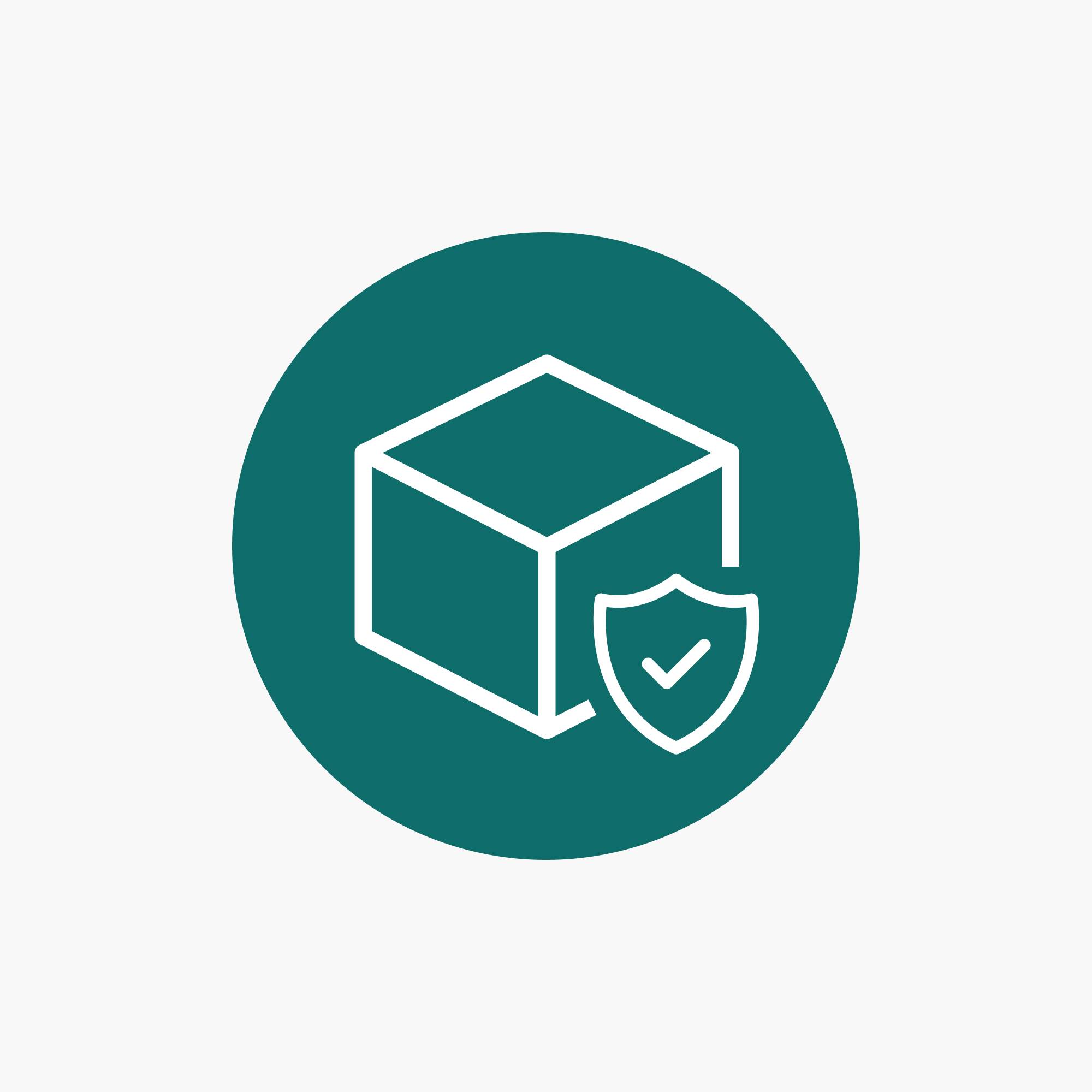 Shipping Protection-1 product photo