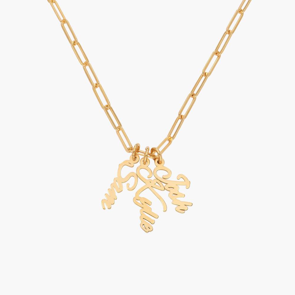 Bailey Link Chain Name Necklace - Gold Vermeil-1 product photo