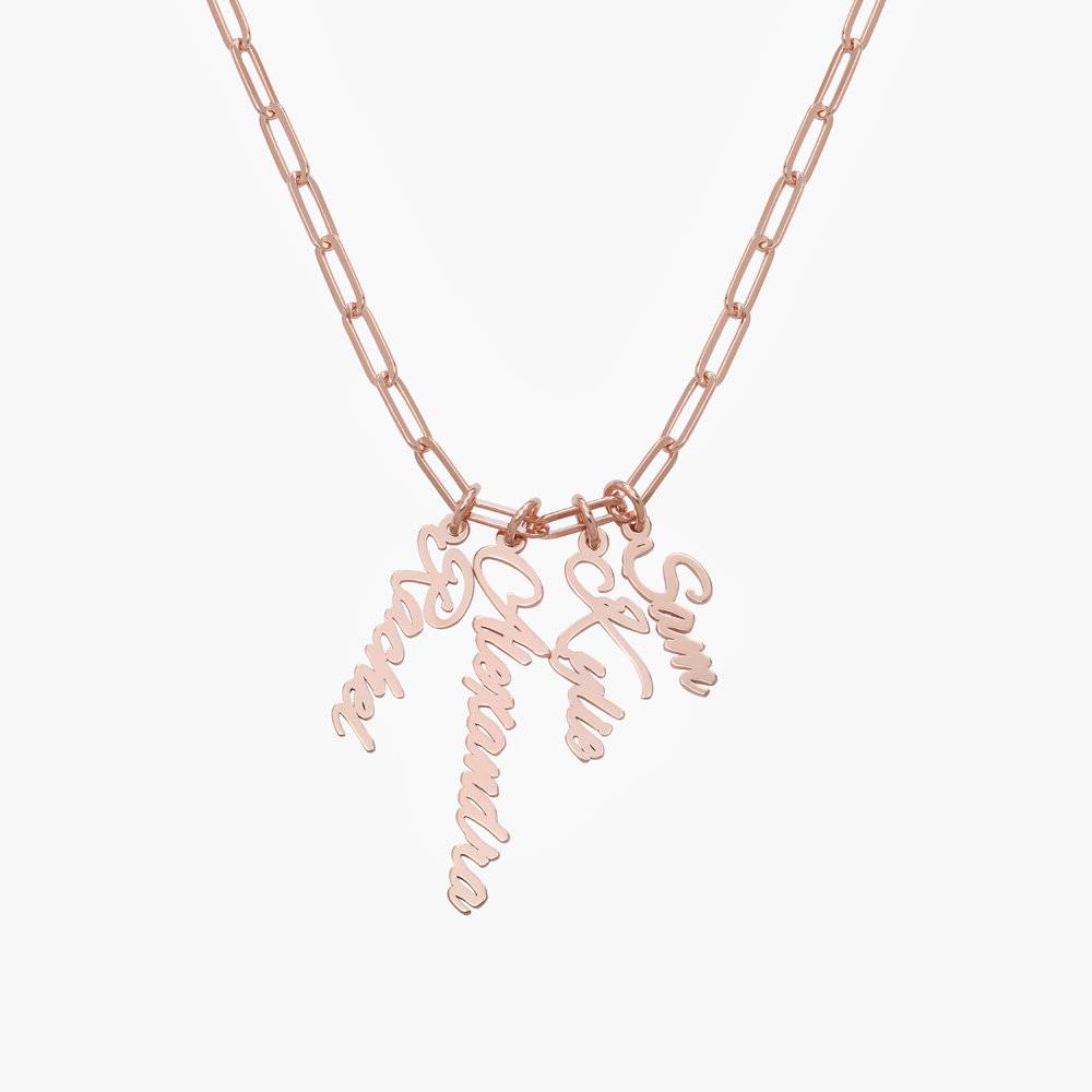 Bailey Link Chain Name Necklace - Rose Gold Vermeil-2 product photo