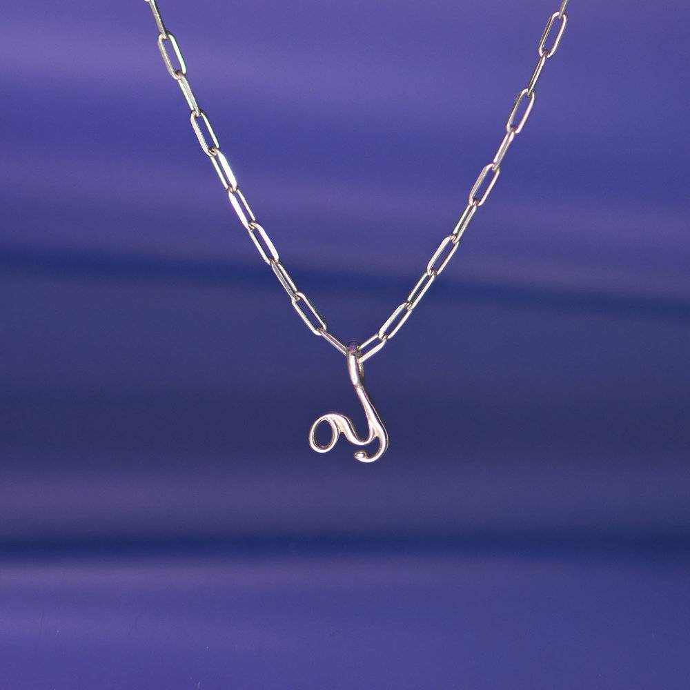 Nina mini Initial with Petit Link chain Necklace- Silver-3 product photo