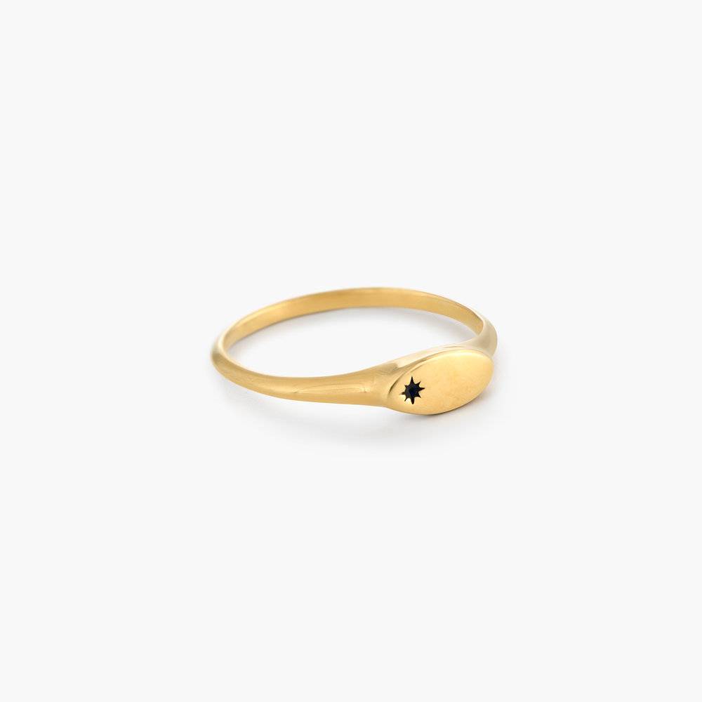 Wanderlust Thin Signet Ring - Gold Plated-2 product photo