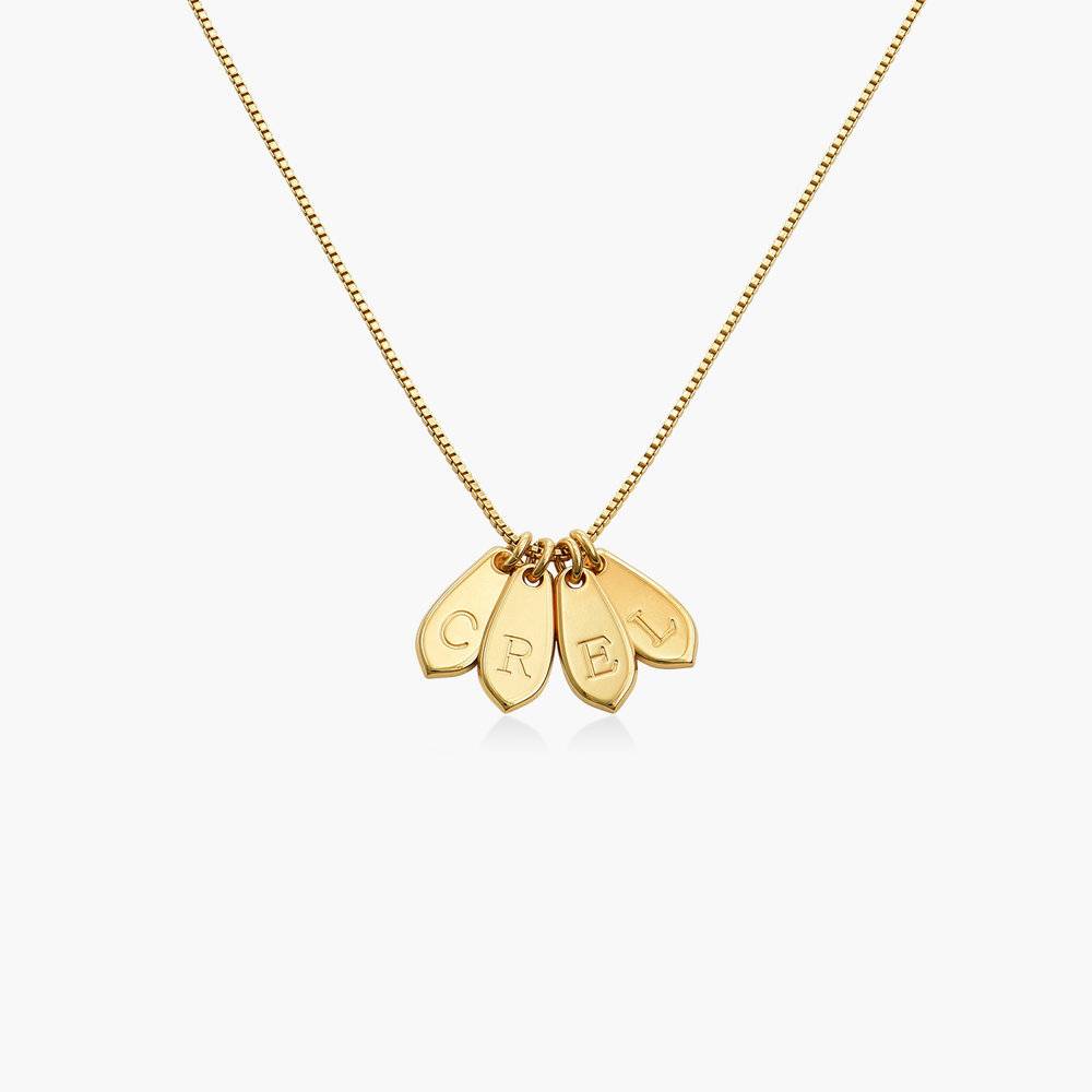 Willow Drop Initial Necklace - Gold Vermeil-2 product photo